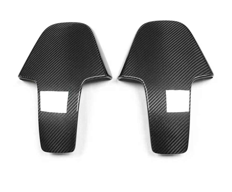 Carbon Fiber Seat Back Cover